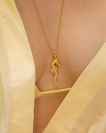 Collar Caballito de Mar + Aretes