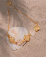 Pulsera Mini Conchas + Aretes