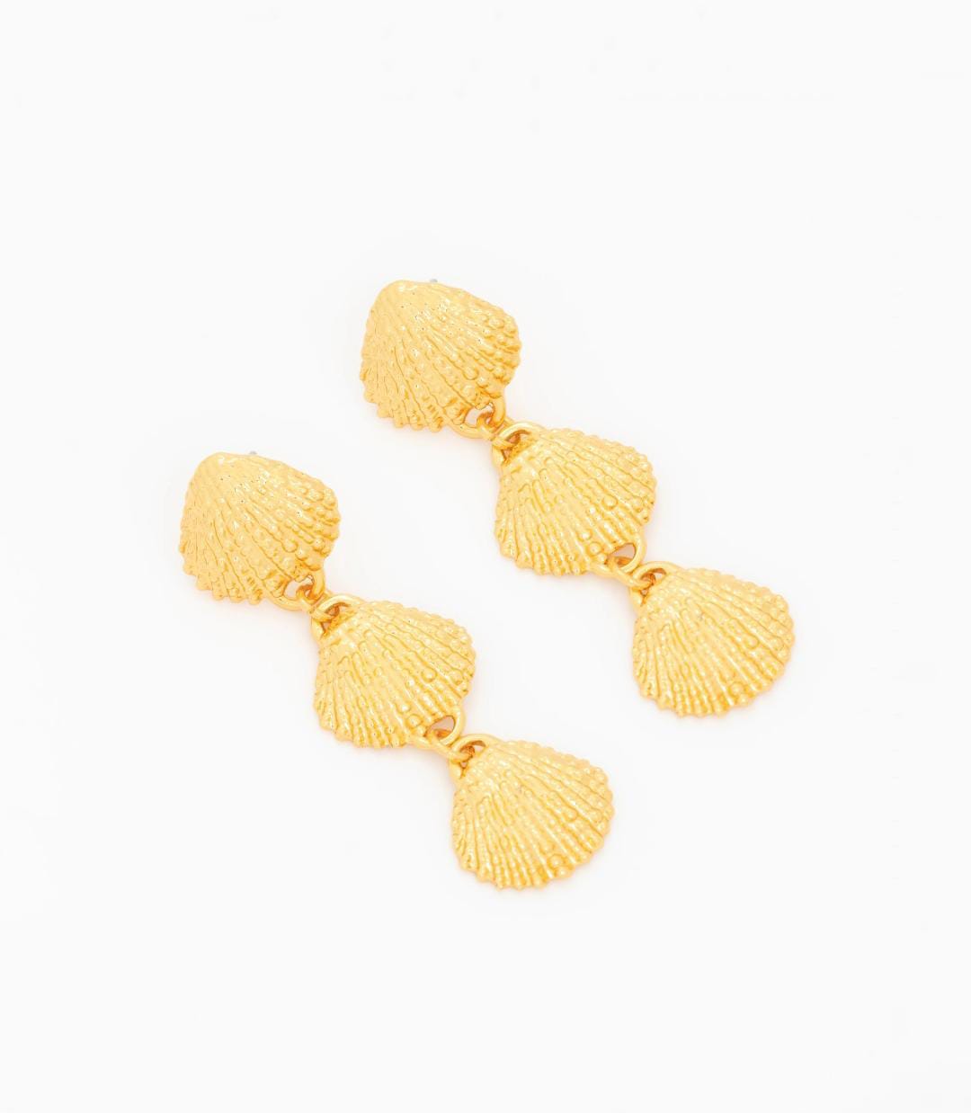 Maxi Aretes Concha Largo