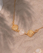 Tobillera Mini Conchitas + Aretes